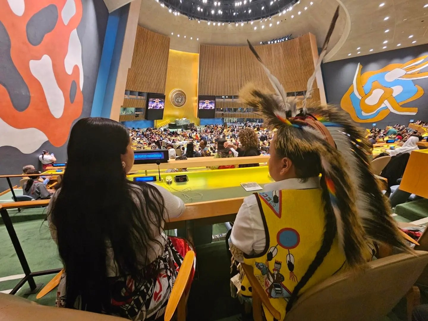 UN Permanent Forum on Indigenous Issues (UNPFII)